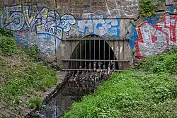 Austritt der Bäke an der Haydnstraße in Berlin-Steglitz