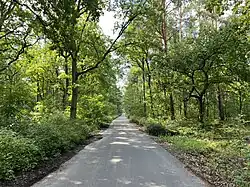 Zum Schmetterlingshorst