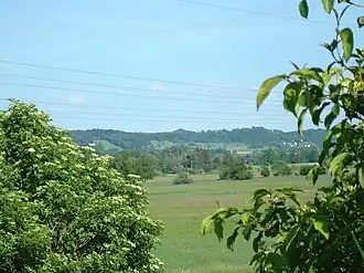 Der Höhenzug mit dem Berndorfer Buchet von Dießen aus gesehen
