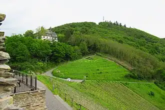 Blick von der Burg Landshut zum Gipfel des Olymp, wo heute ein Sendemast steht. Das Gebäude im Wald ist das 1904 gebaute damalige Schlosshotel.