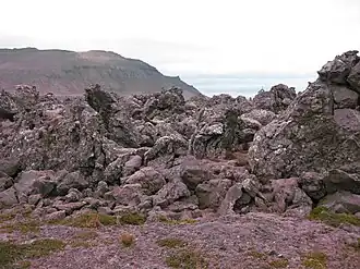 Lavafeld Berserkjahraun mit dem Bjarnarhafnarfjall im Hintergrund