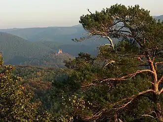 Grünberg links im Bild, in Bildmitte Burg Berwartstein