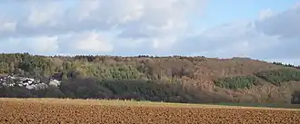 Blick aus Richtung Limburg auf den Beselicher Kopf