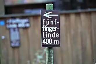Hinweisschild zur Fünffingerlinde