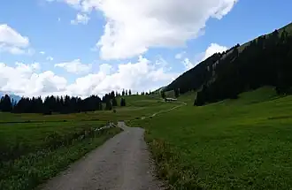 Links neben dem Weg der Quellbach, Stongen Moos, links hinten beim Wald beginnt das Grebentobel