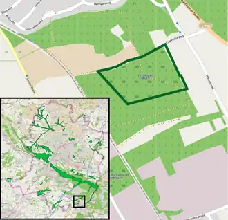 Blick in den östlichen Abschluss des Esselhofer Bruches