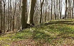 Geländekante am Steilhang