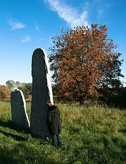 Die Bildsteine von Ange