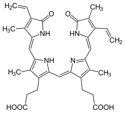 Biliverdin + CO + Fe2+