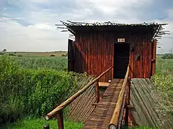 Vogel-Beobachtungsstand