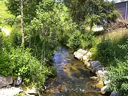 Oberlauf der Birs bei Tavannes