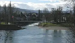 Birsmündung in den Rhein