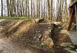 Fundamentreste des Bismarckturms, rechts der alte Holzbergturm, 2008.