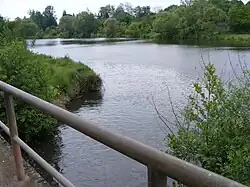 Mündung in die Saar