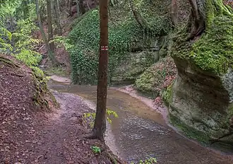 Wanderwegmarkierung in der Schlucht