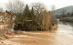 Westspitze des Werders nach dem Winter mit hohem Wasserstand der Werra