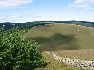 Blick vom Clog Knowe auf den Black Law