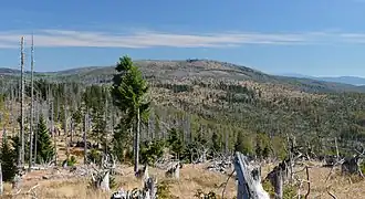 Blick vom Großen Rachel