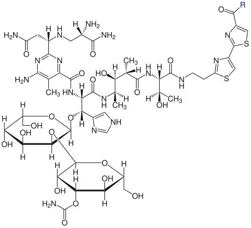 Grundstruktur der Bleomycine