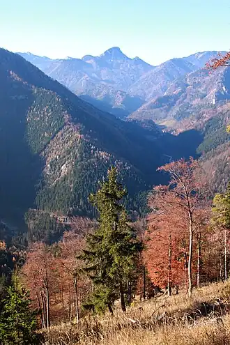 Nassbachtal und Großer Sonnleitstein von Ostnordosten (Anstieg zum Kuhschneeberg)