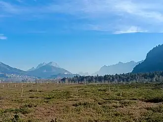Blick über das Moor, im Hintergrund Wallfahrtskirche Frauenberg