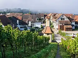 Weinbau