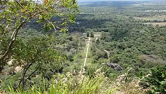 Blick auf den Garten von oben