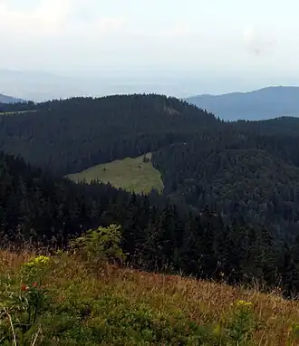 Blick vom Feldberg zum Toten Mann