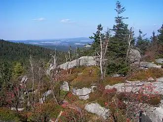 Blockmeer im Gipfelbereich des Nußhardt.