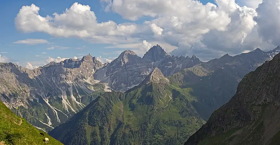 Gargglerin im Kontext der Tribulaungruppe