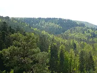 Blick vom Reitersprung in der Nähe der Hohen List zum Großen Biesenberg