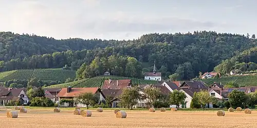 Blick von Süden auf Oberstammheim