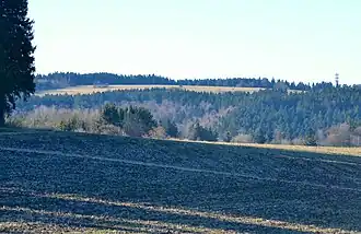 Wandbühl, Blick von Nordosten vom Weiler Tanneck (950 m ü. NN)