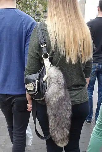 Bluefrost-Fuchsschweif als Taschenanhänger (2016)