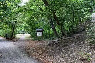 Juli 2019 Blumenrondell am Hangauslauf Neuer Georgenberg