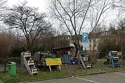 Alsengarten hinter dem Wohnzimmer Alsenstraße in Bochum