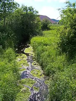 Die Bode in Bischofferode Richtung Holungen