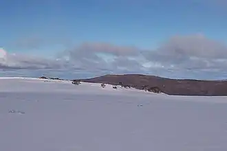 Typische Winterszenerie in den Bogong High Plains