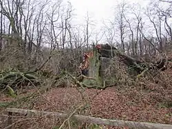 Nach dem Zusammenbruch