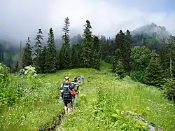 Nationalpark Bordschomi-Charagauli