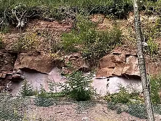 Buntsandsteinwand an der Bortkelter (Bruchschollen)