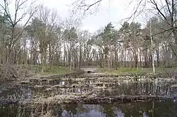 Steinerne Brücke (Schulgartenfahrbrücke)