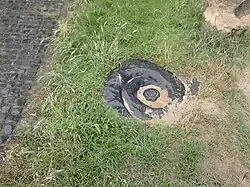 Nahe der Brücke über Sand liegende Schnecke