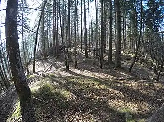 Gipfelbereich des Brünstkopfs