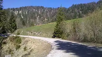 Südseite des Brandkopfes oberhalb der Röthenbachalm