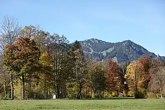 Brauneck oberhalb Lenggries