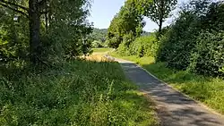 Der Brehmbachtalradweg am Bahnhof Dittwar