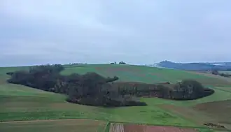 Luftbild Hohl Griesbusch und Breitenstein (2023)