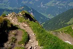 Pfad auf dem Westgrat