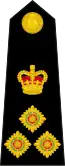 Brigadier
